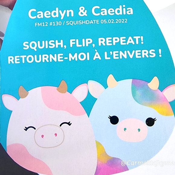CAEDYN 🔁 CAEDIA 🐄 Blue Rainbow & Pink Cow FlipAMallow Original Squishmallows - Picture 10 of 10